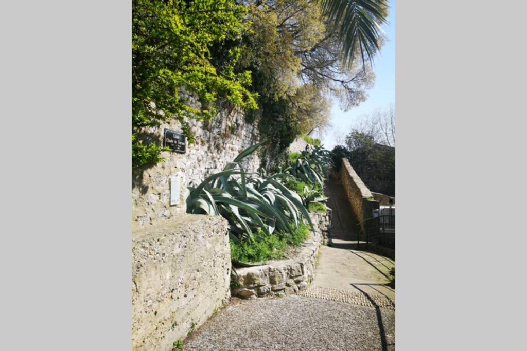 Maison De Village Meublee Avec Terrasse Donzere ภายนอก รูปภาพ